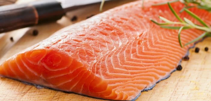 Le poisson gras à privilégier pour la musculation